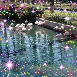 Meet your Posher, Belinda